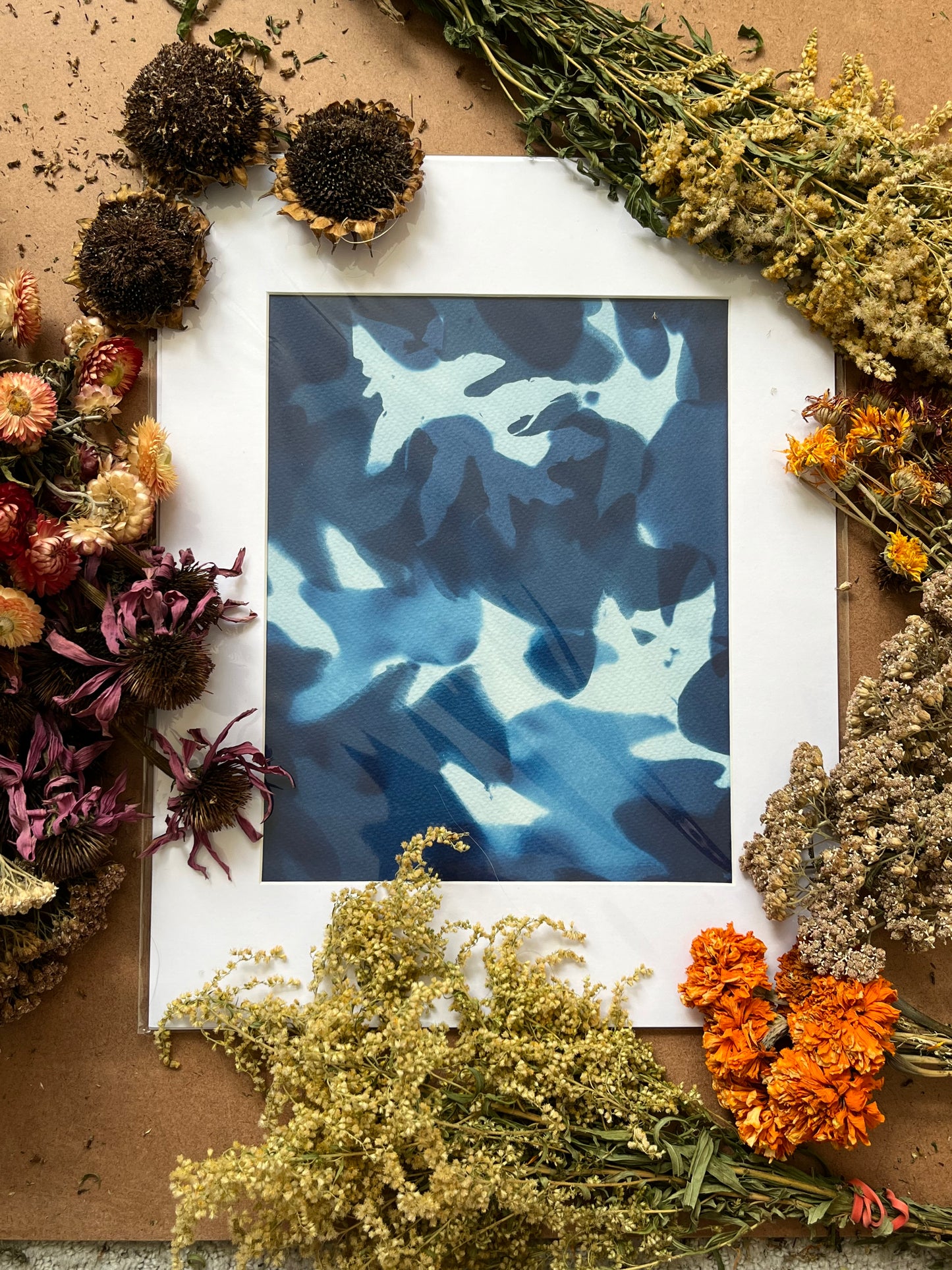 “Memories of an Oak”