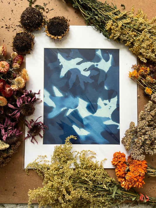 “Memories of an Oak”