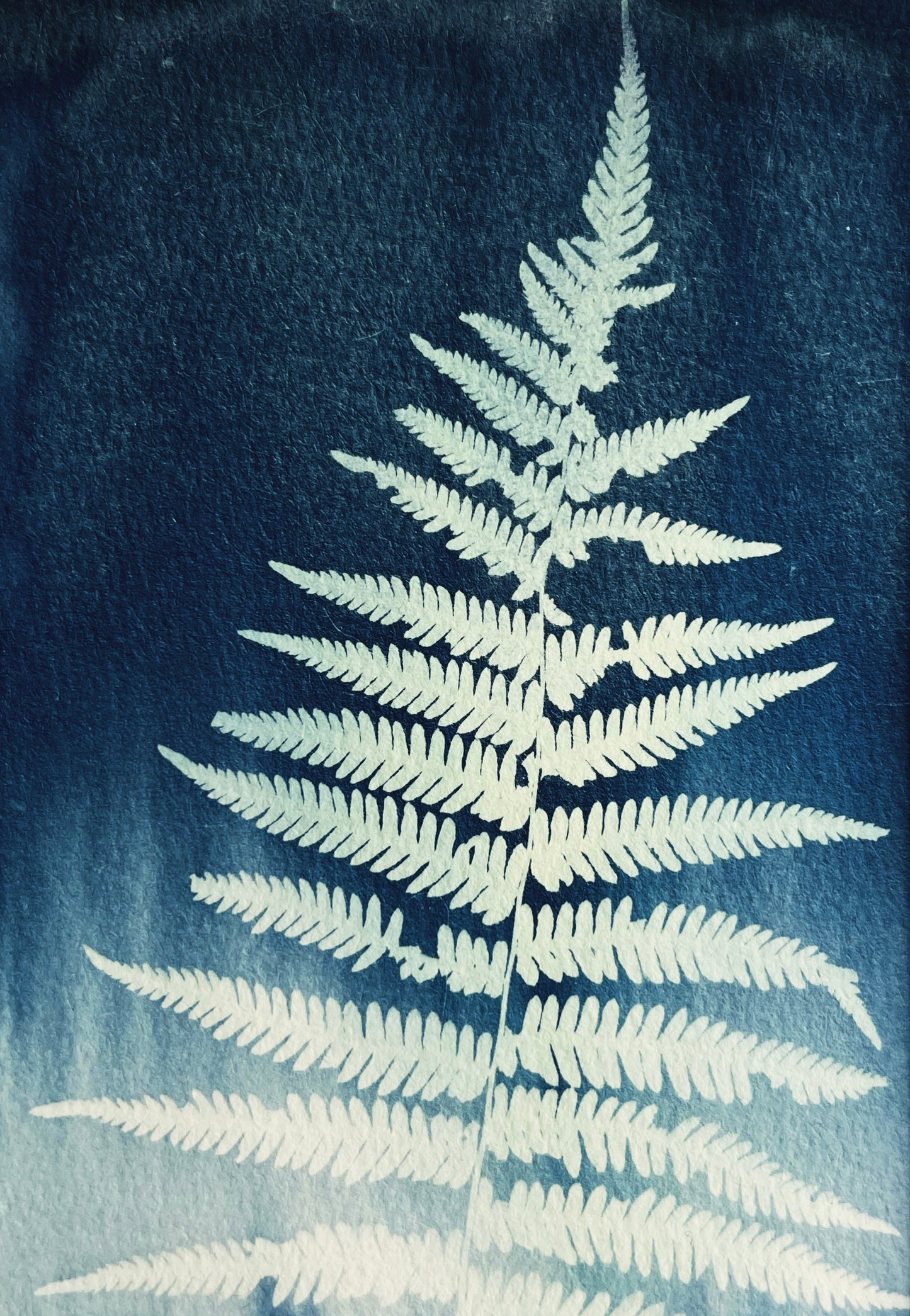 “From between the cracks”