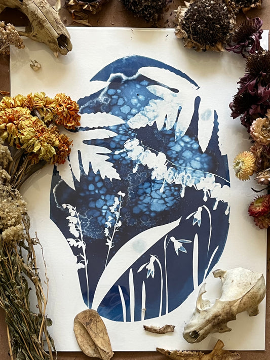 “The view from the window”