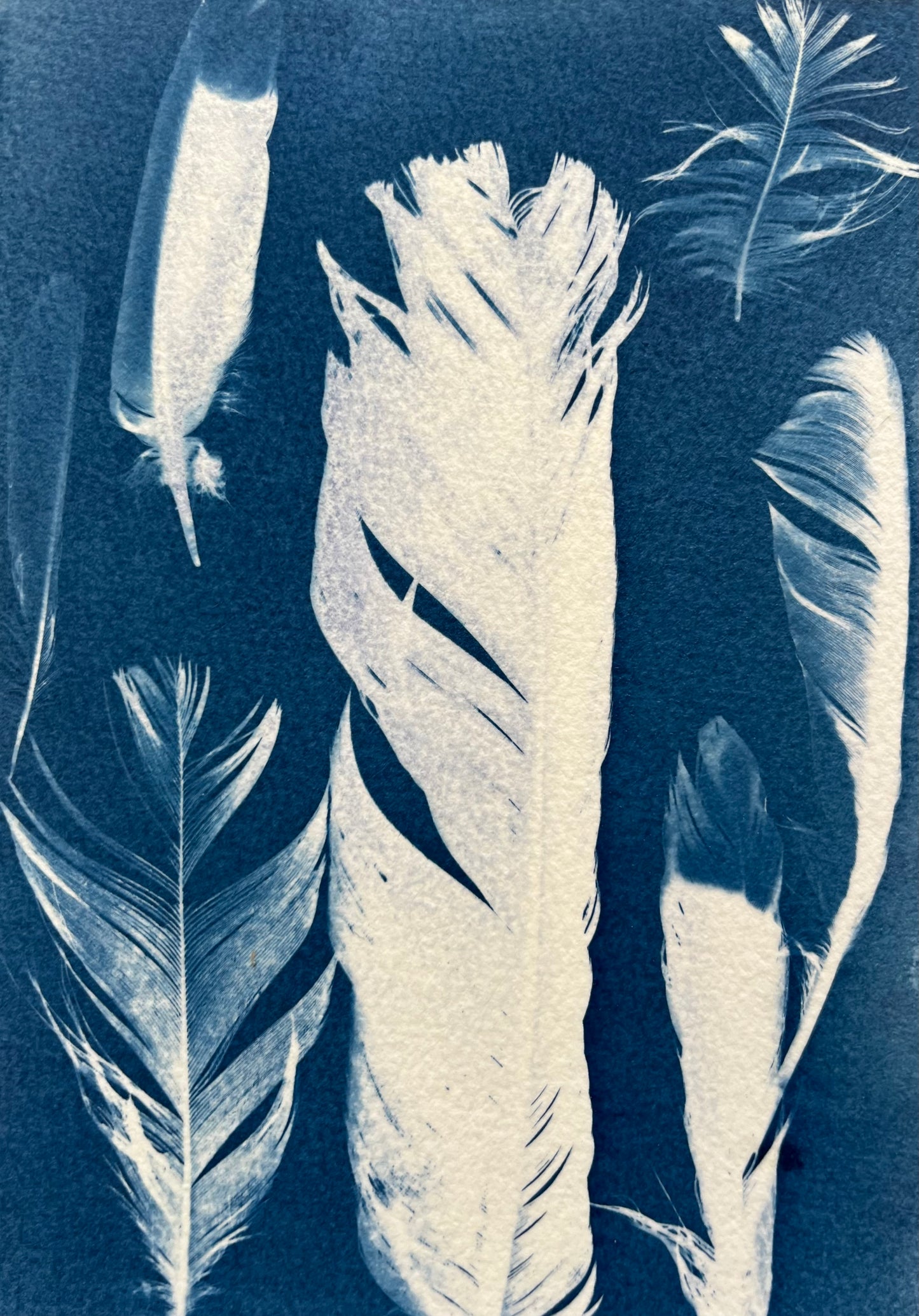 “Feather garden”