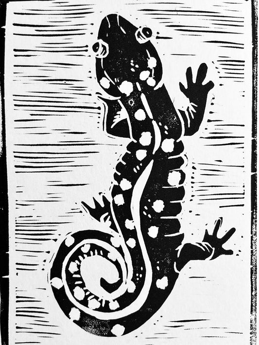 Spotted Salamander card