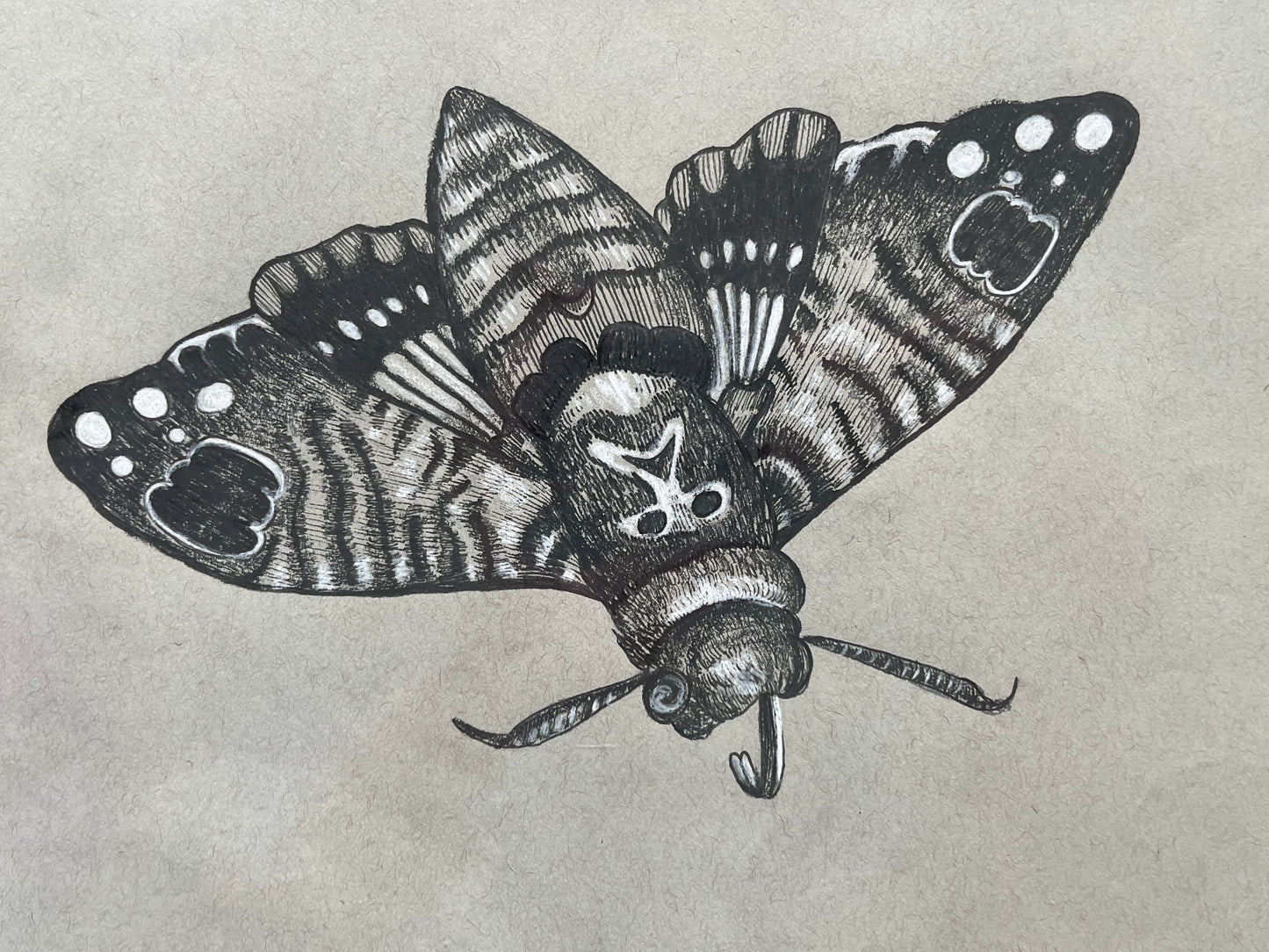 “Death’s Head”