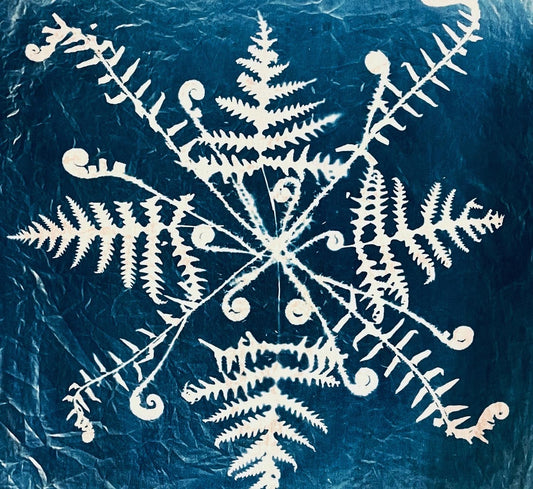 “Life cycle” bandana