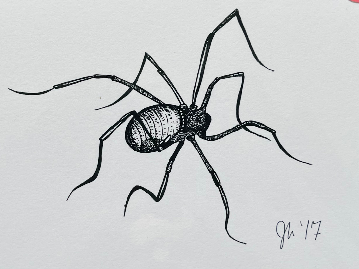 “Daddy Longlegs”