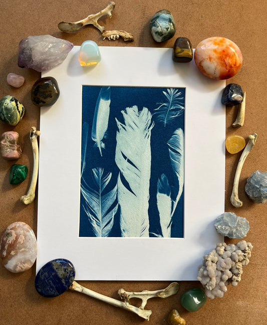 “Feather garden”