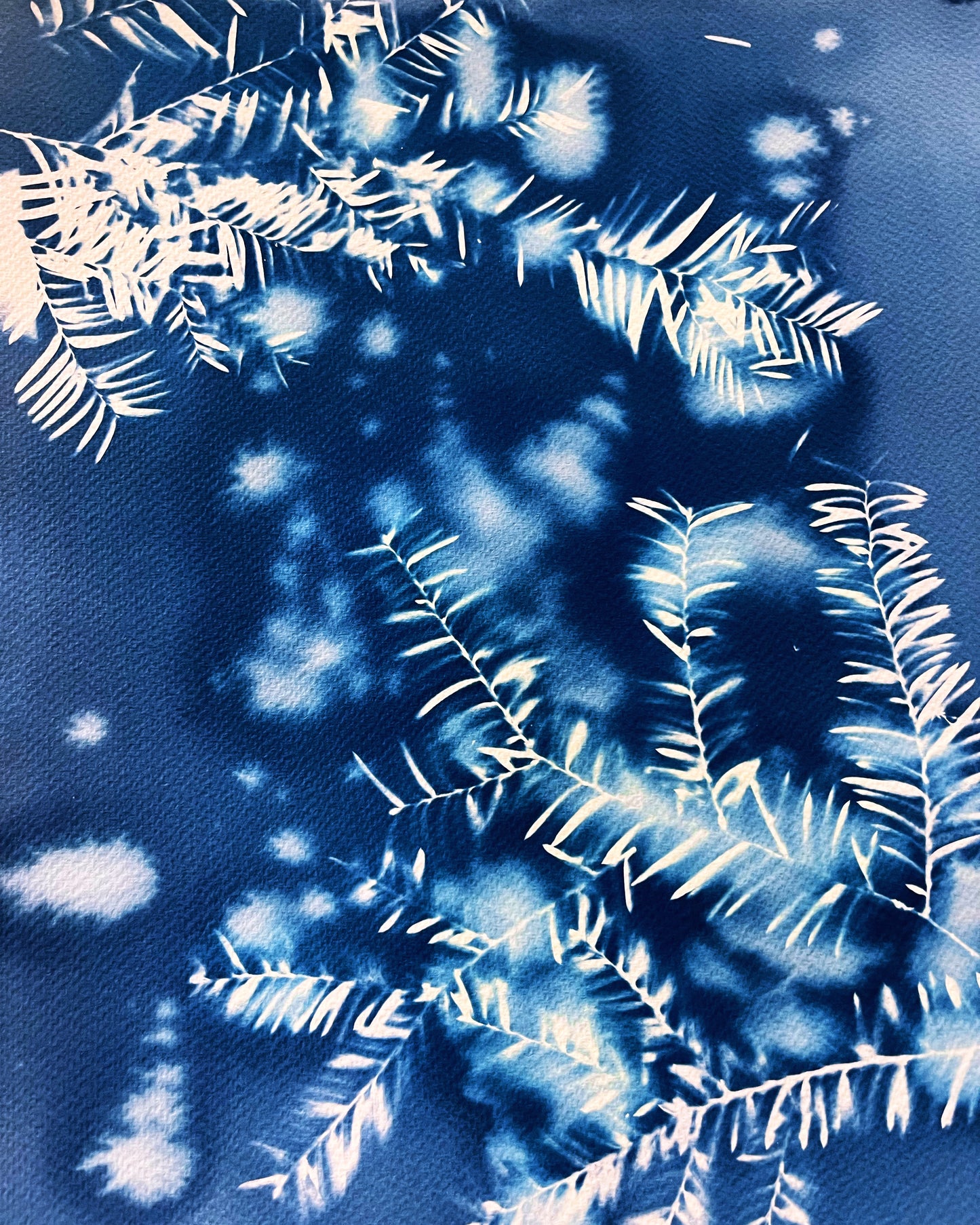 “Celestial Sigh”