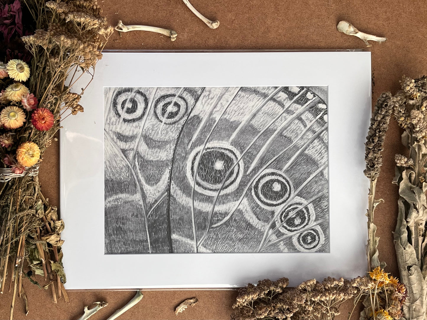 “Blue morpho” (small)