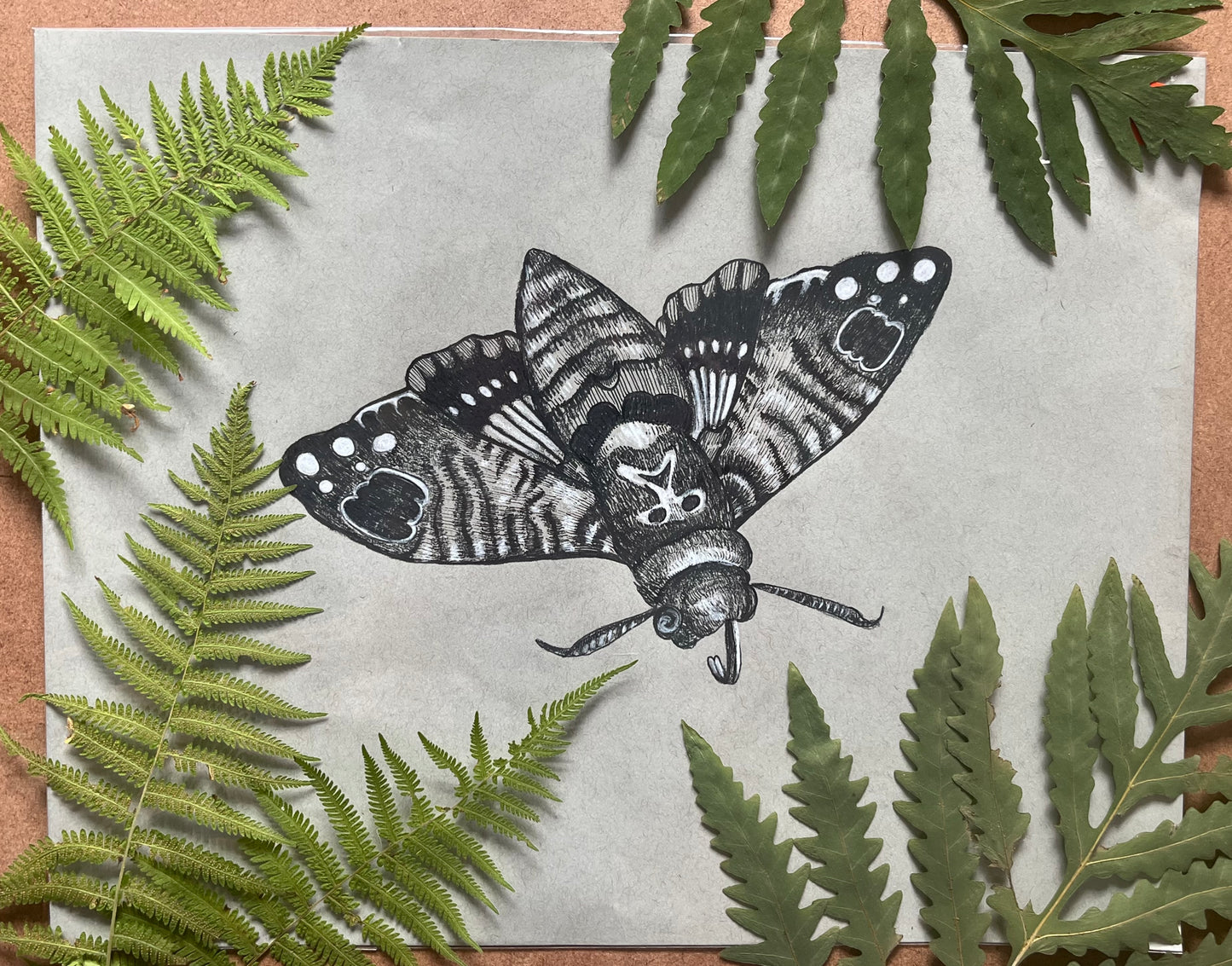 “Death’s Head”