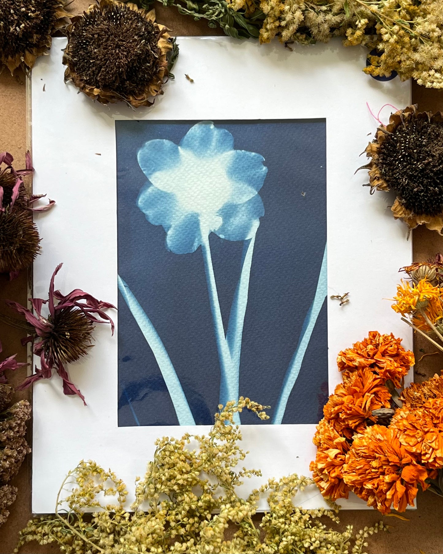 “Harbinger of Spring”