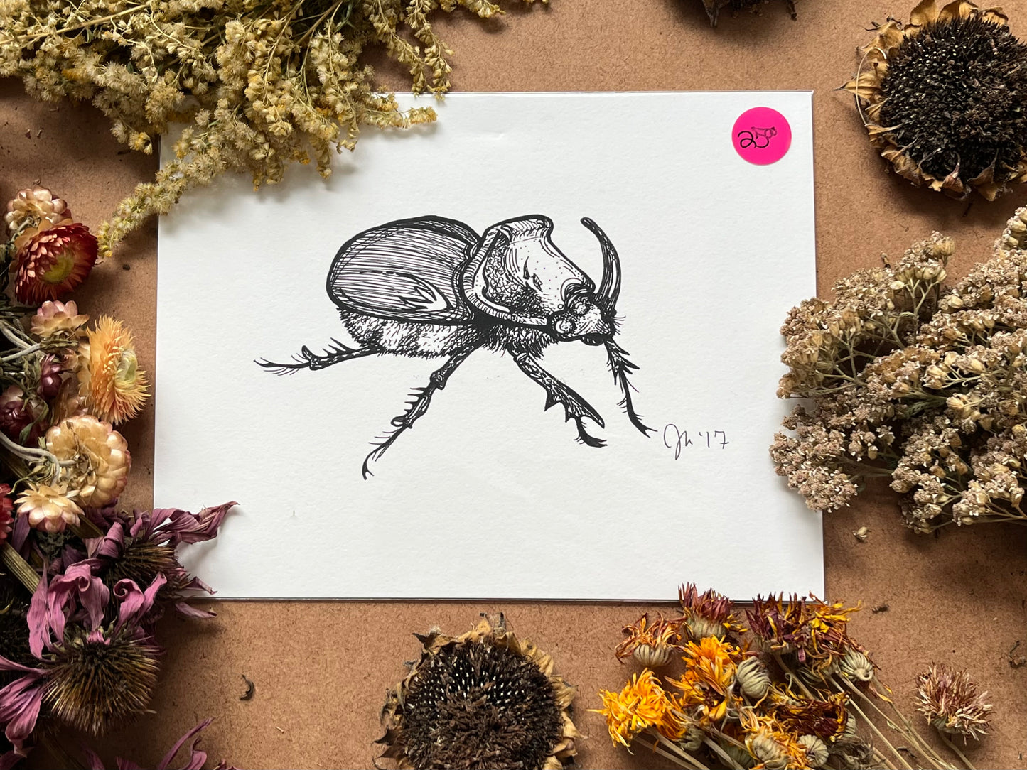 “Rhinoceros Beetle”