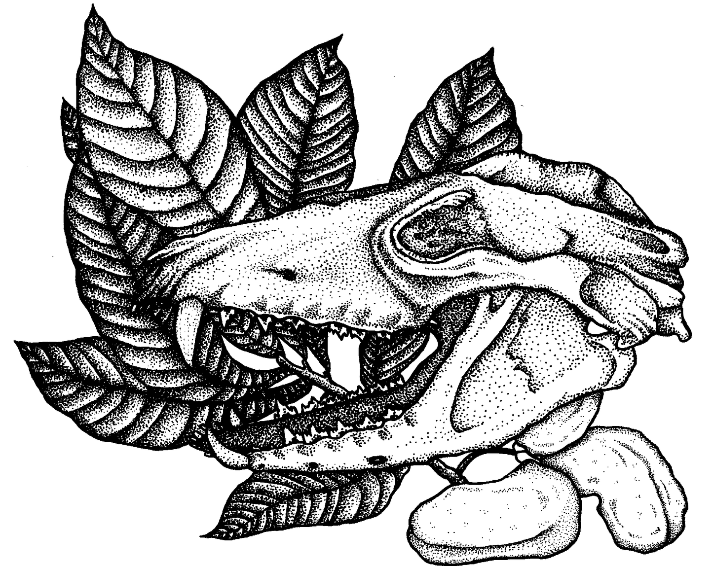 “Self Abandonment”