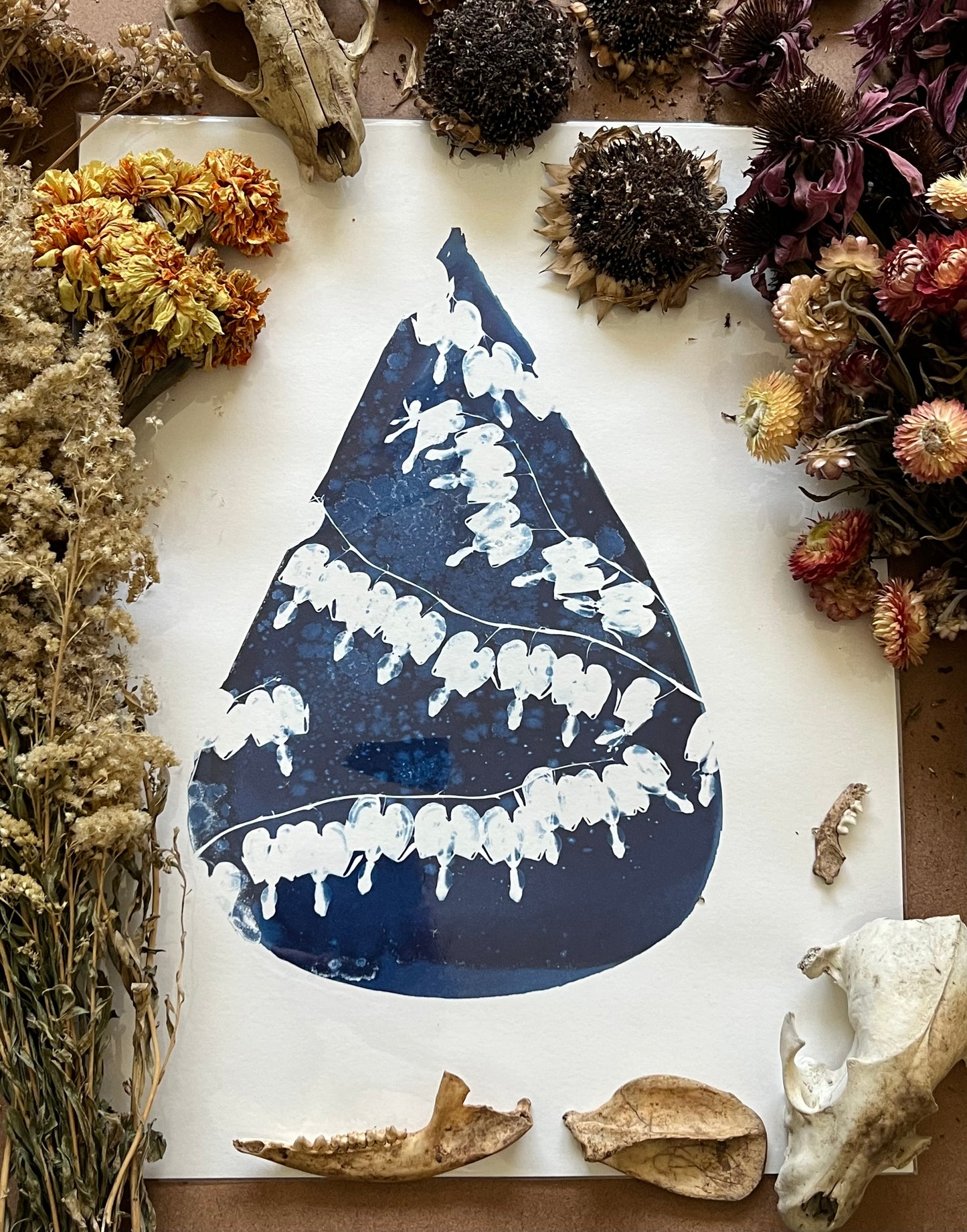 “Bleeding heart”