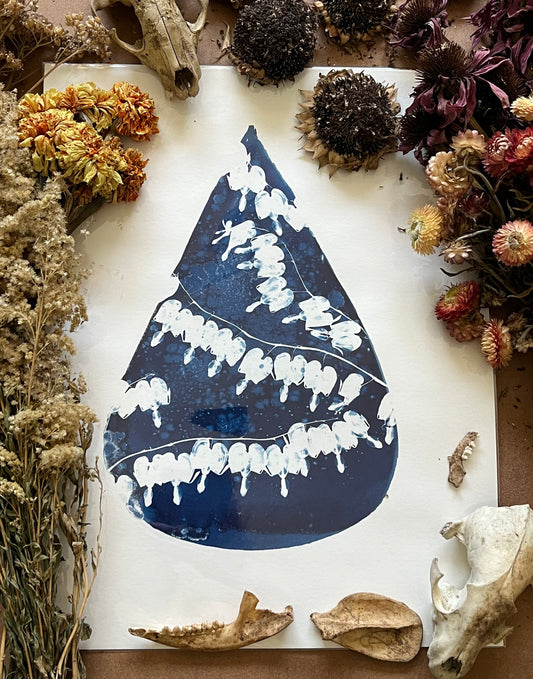 “Bleeding heart”