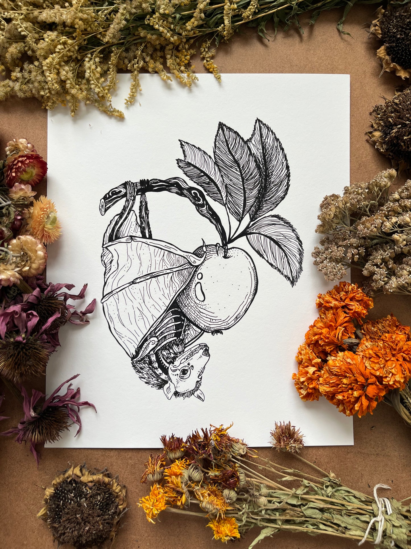 “Anatomical Bat”