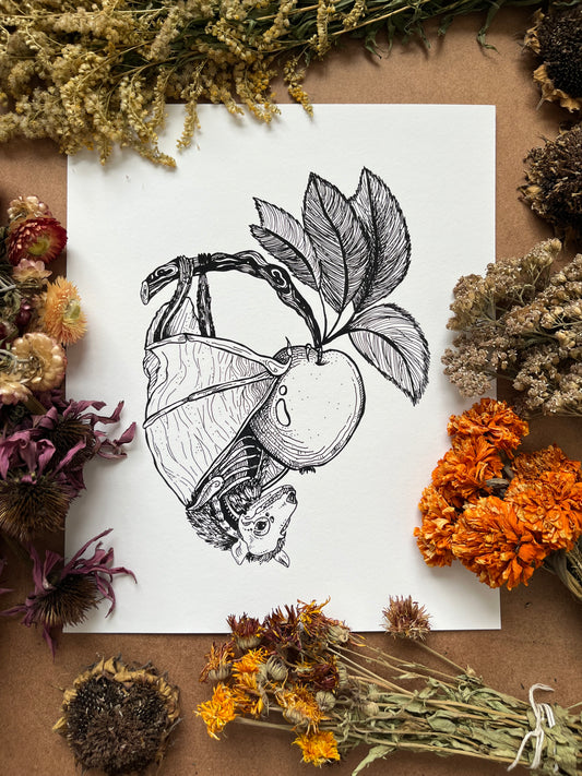 “Anatomical Bat”