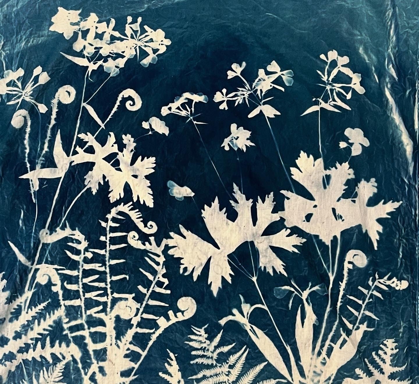 “A walk in the woods” bandana