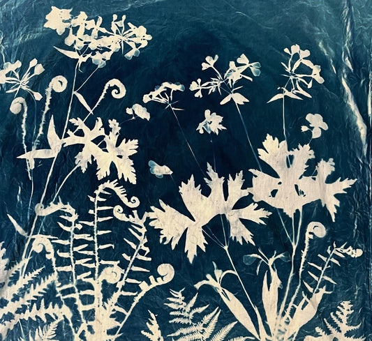 “A walk in the woods” bandana