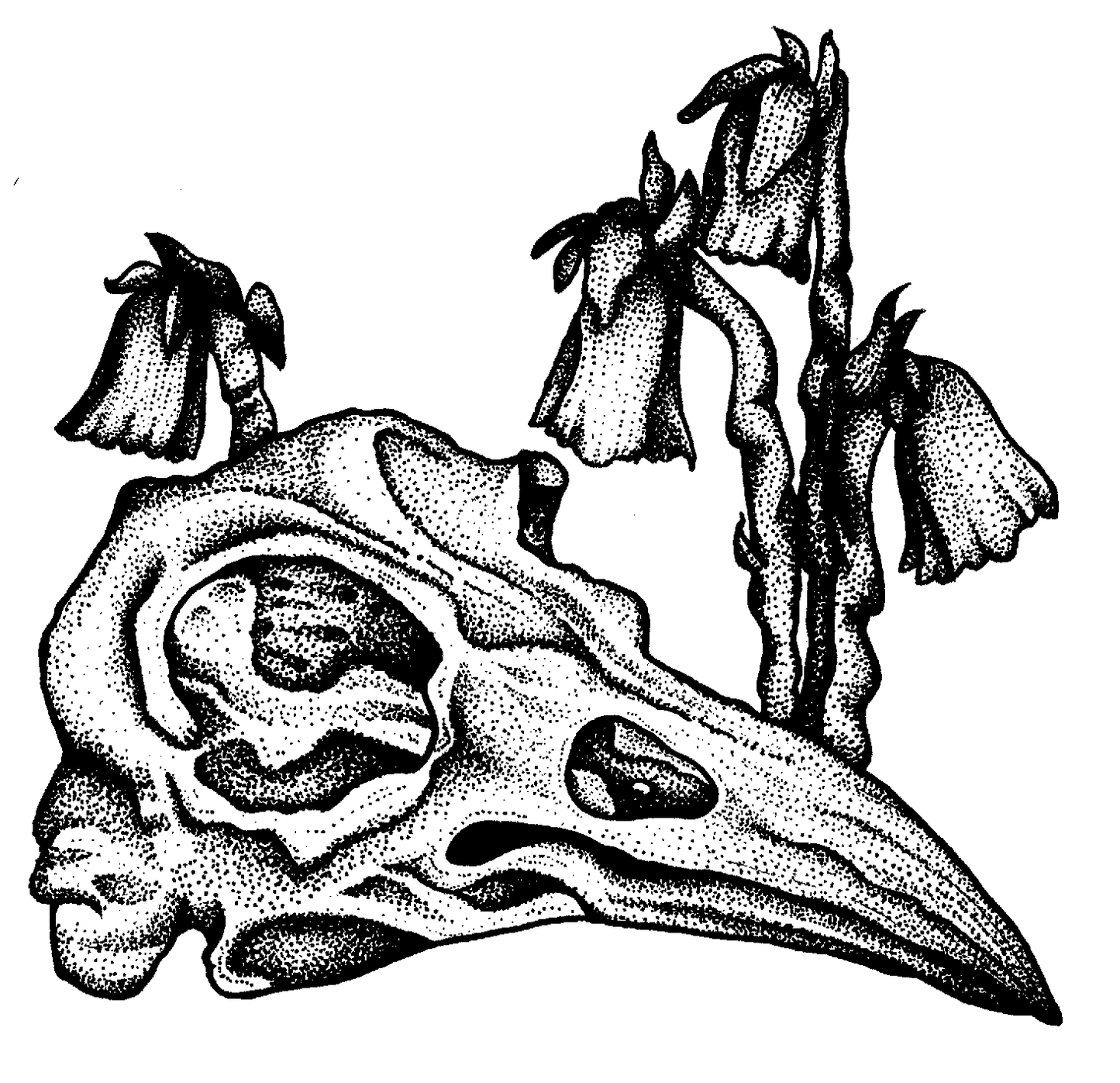 “Foreshortened Future”