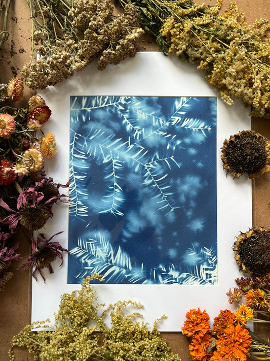 “Celestial Sigh”