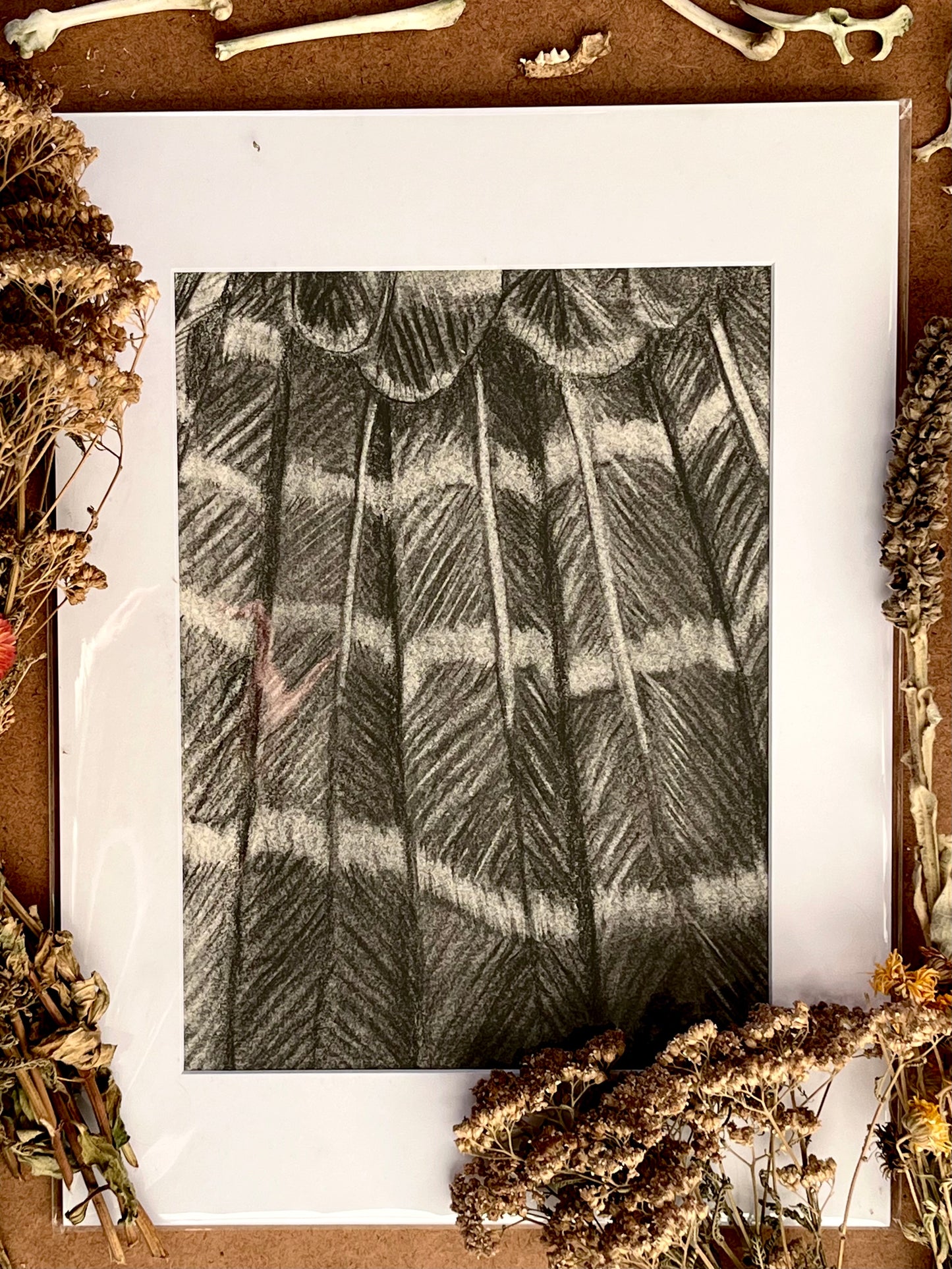 “Farewell Feathers”