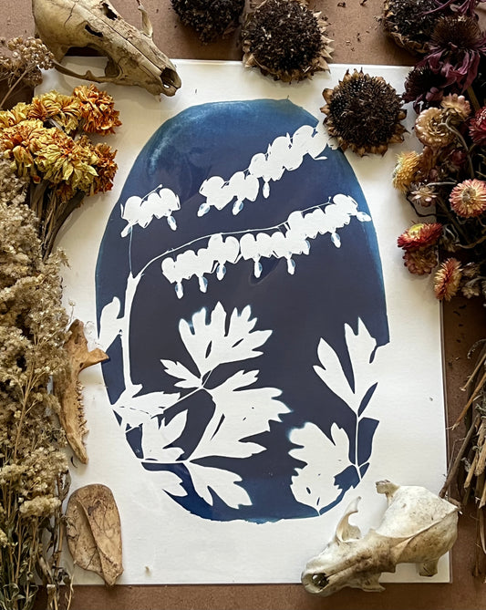 “The heart is a delicate thing”