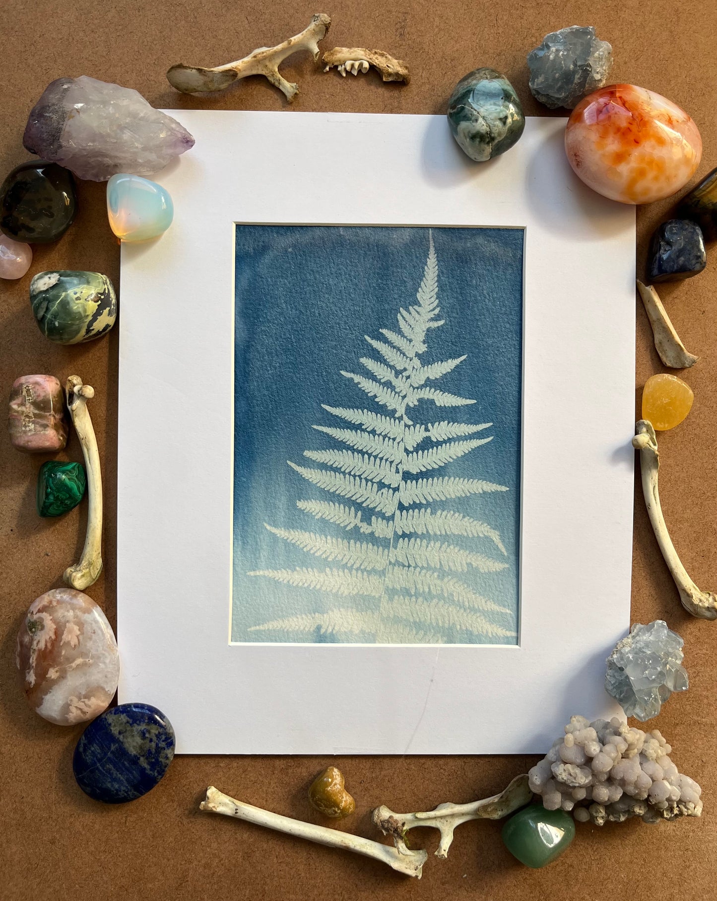 “From between the cracks”