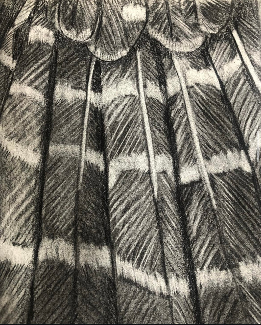 “Farewell Feathers”