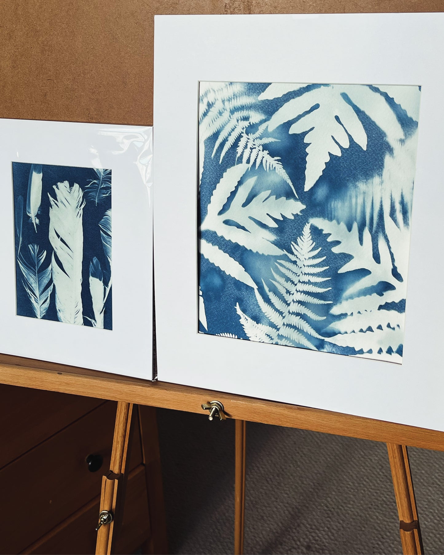 “Feather garden”