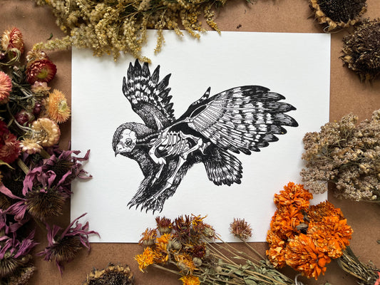 “Anatomical Owl”