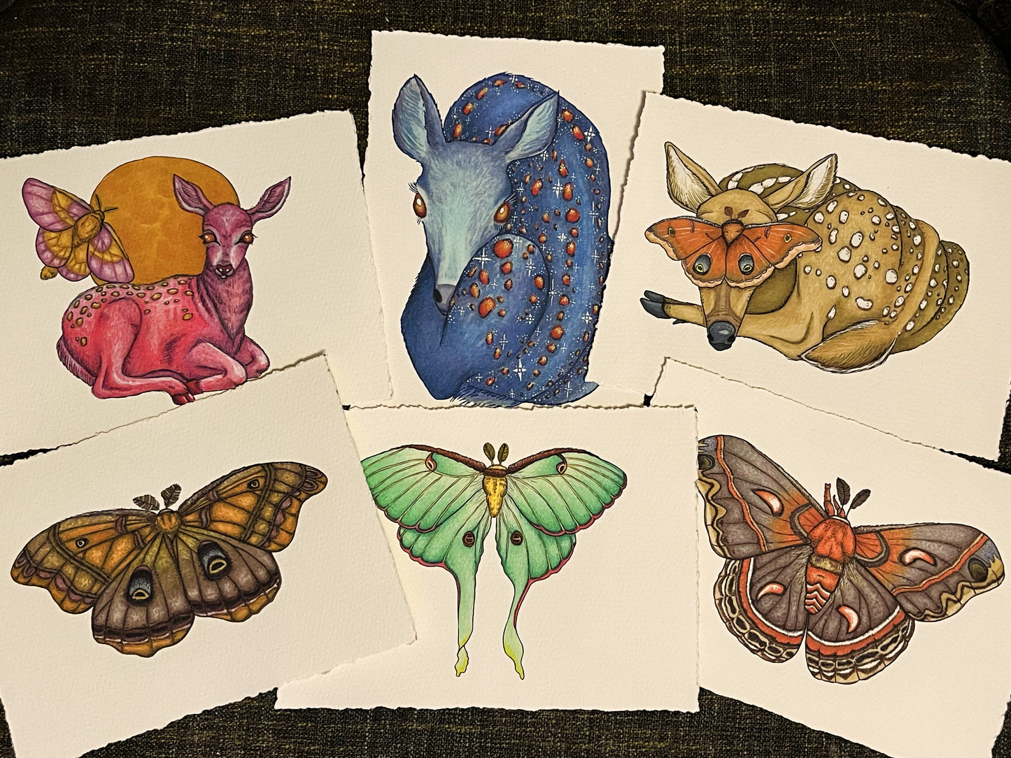 “Polyphemus moth”