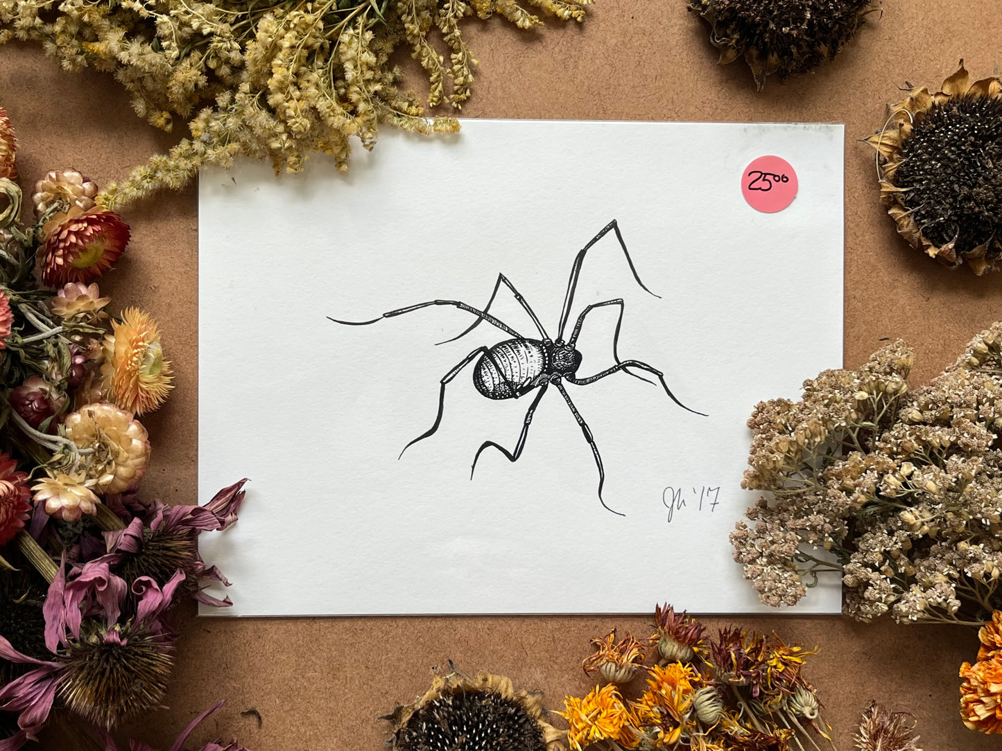 “Daddy Longlegs”