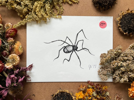 “Daddy Longlegs”