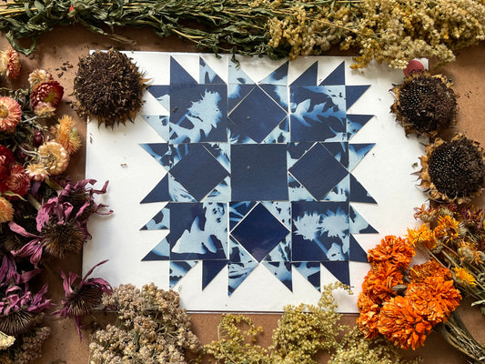 “Dandelion Wine”