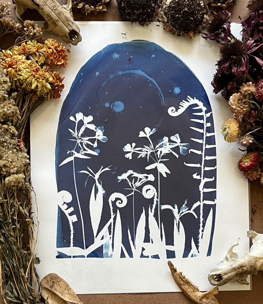 “The aspect of the moon”