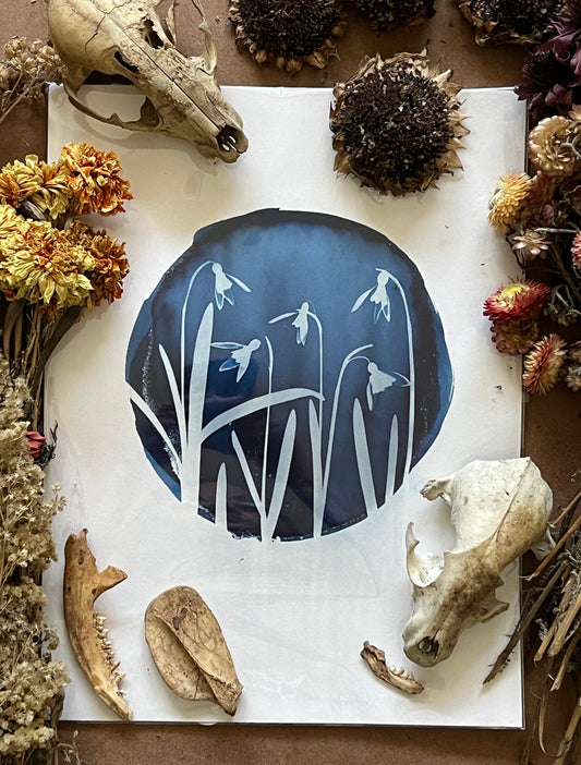 “Symphony in snowdrops”