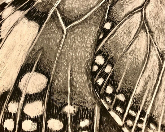 “Monarch 1” (small)