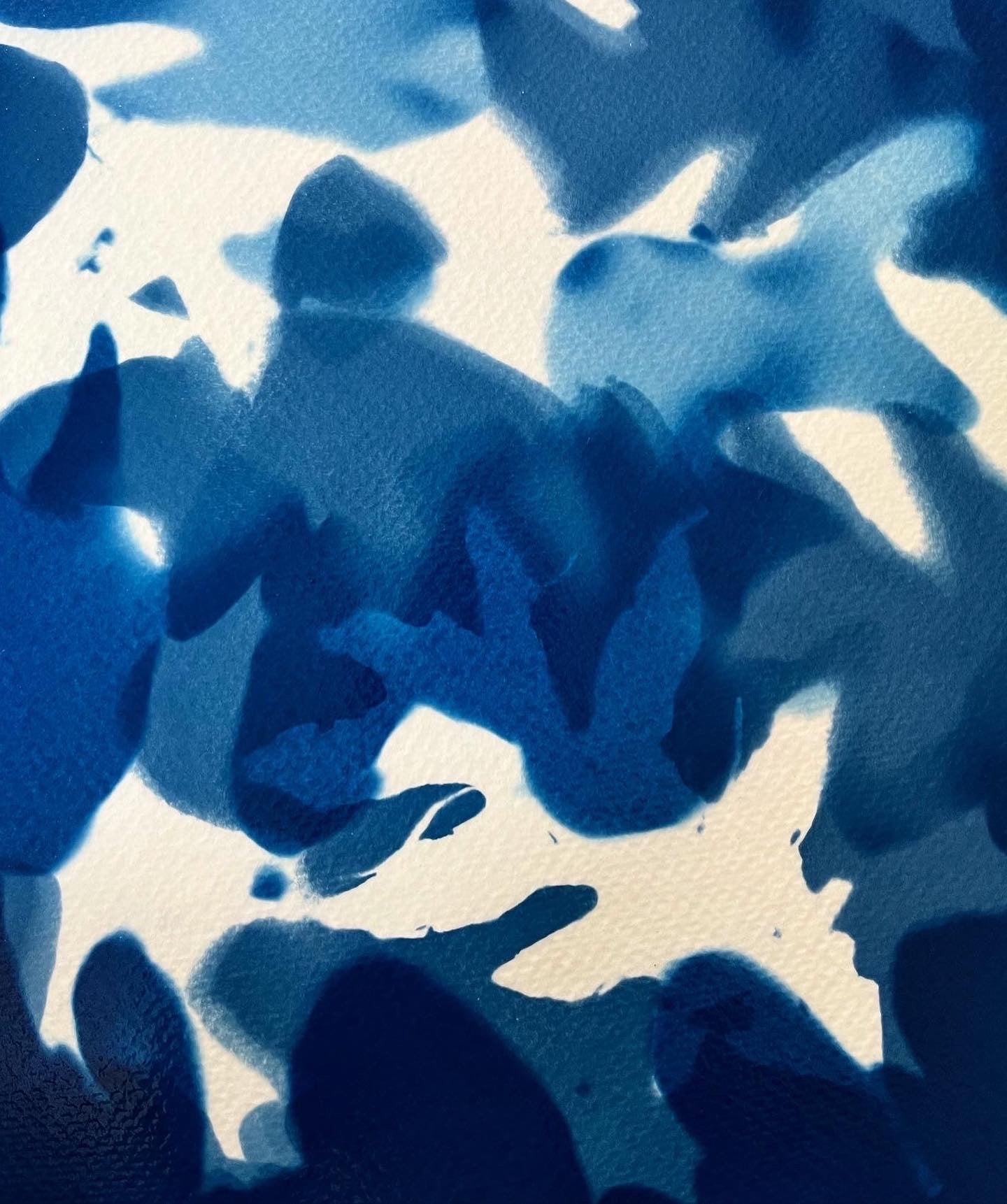 “Memories of an Oak”